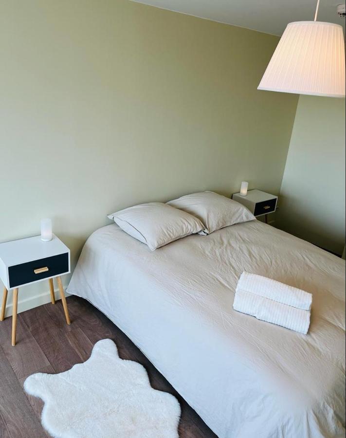 Espace 500 - Cosy, Wifi & Vue Sur La Ville Сент-Этьен Экстерьер фото