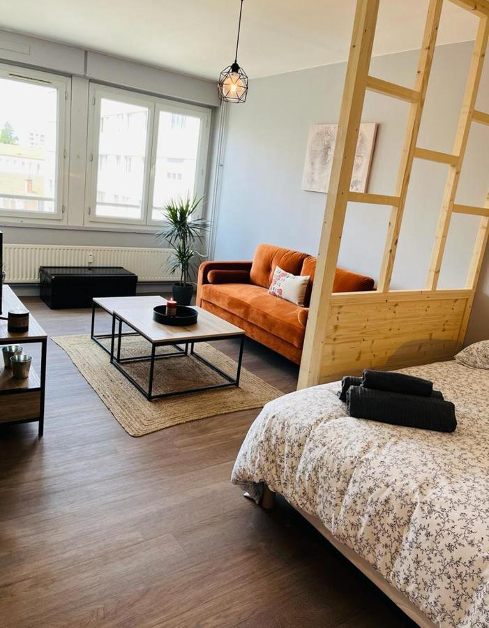 Espace 500 - Cosy, Wifi & Vue Sur La Ville Сент-Этьен Экстерьер фото