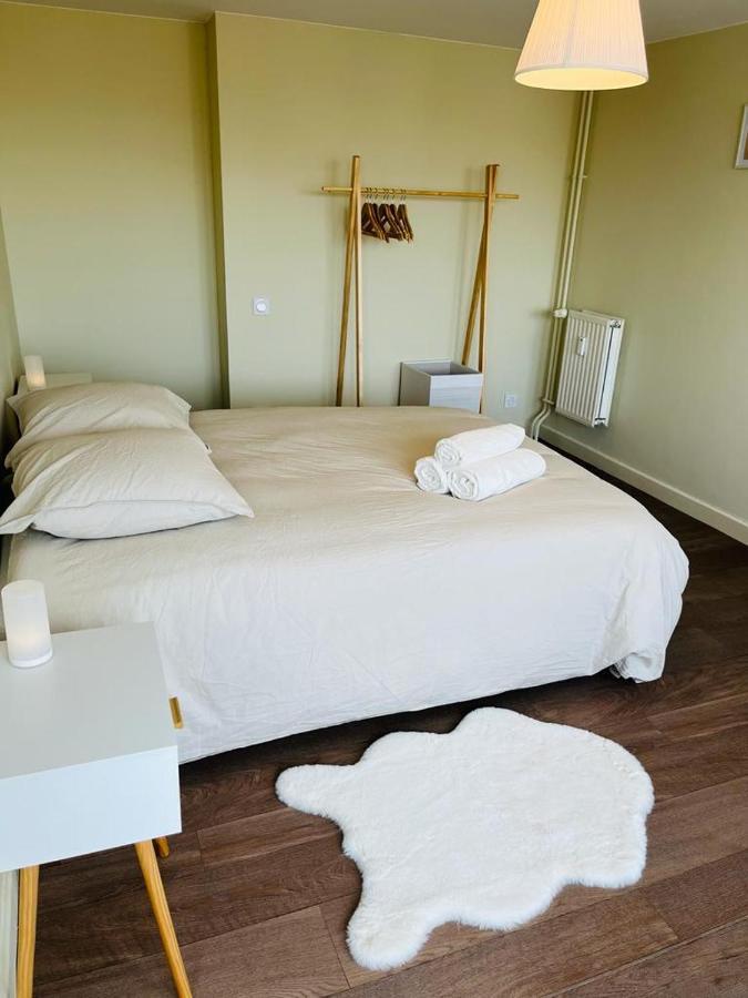 Espace 500 - Cosy, Wifi & Vue Sur La Ville Сент-Этьен Экстерьер фото