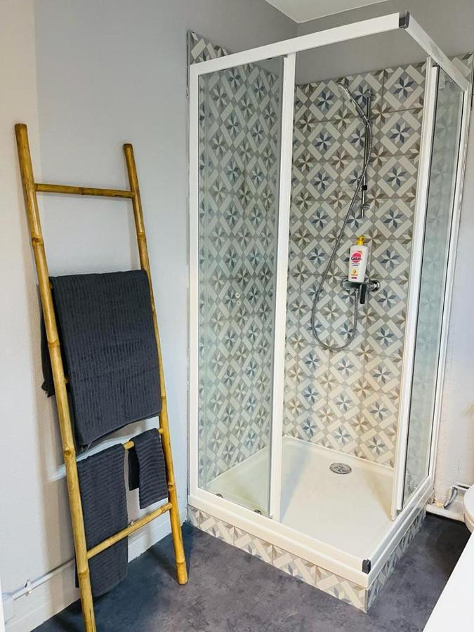 Espace 500 - Cosy, Wifi & Vue Sur La Ville Сент-Этьен Экстерьер фото